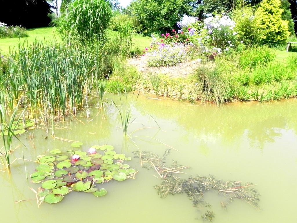 Bed and Breakfast Les Charmilles Hazebrouck Zewnętrze zdjęcie